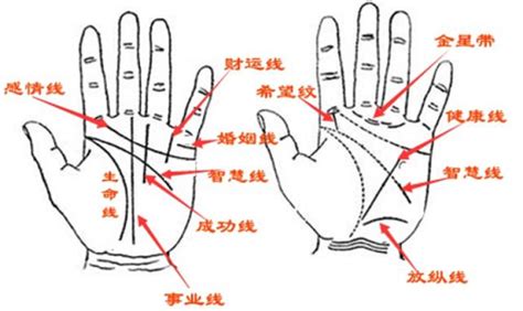 手相 橫紋|手相怎麼看？右手主左手輔，5條線掌握人生大事，掌。